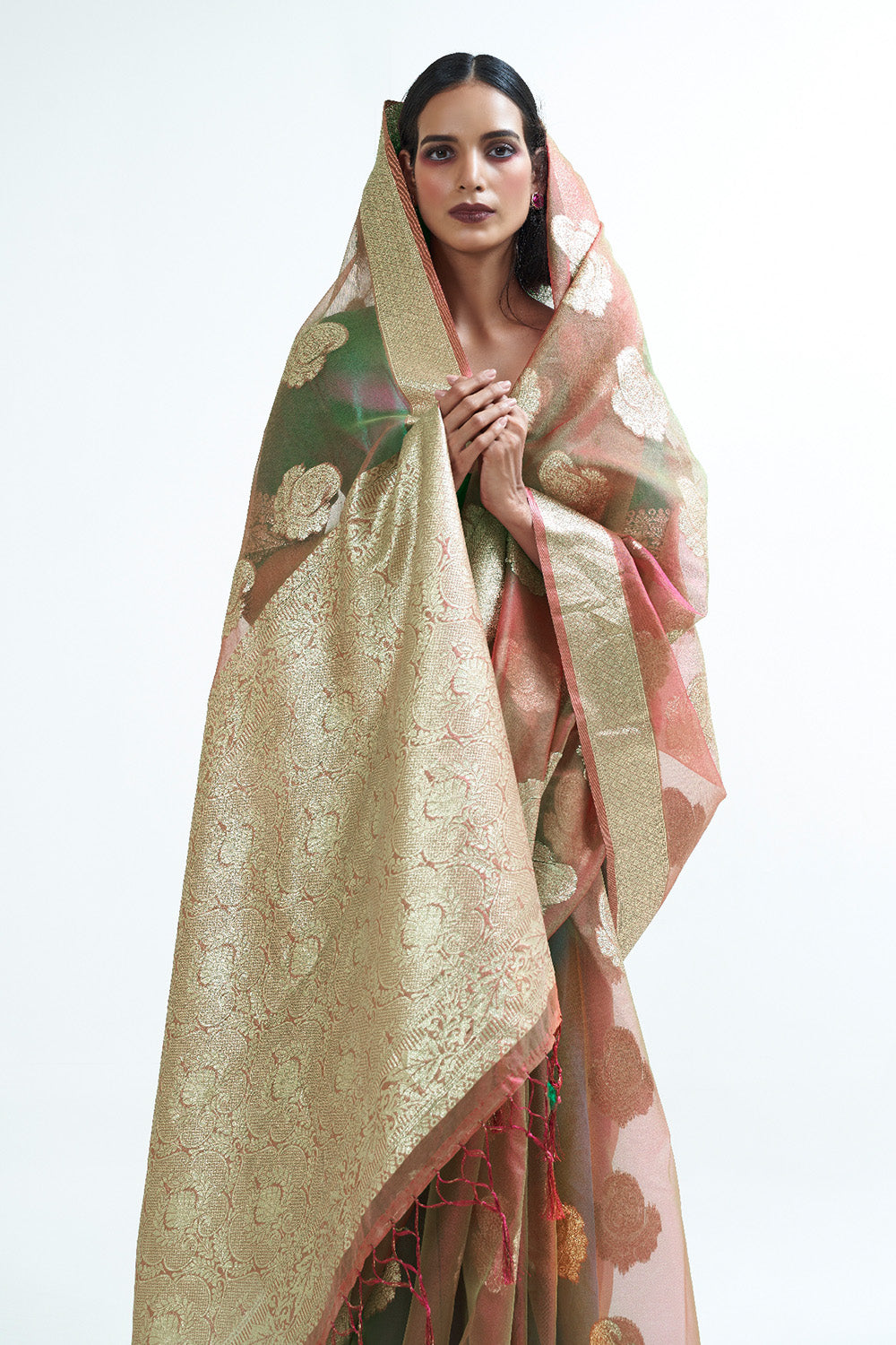 dessert brown organza saree 4