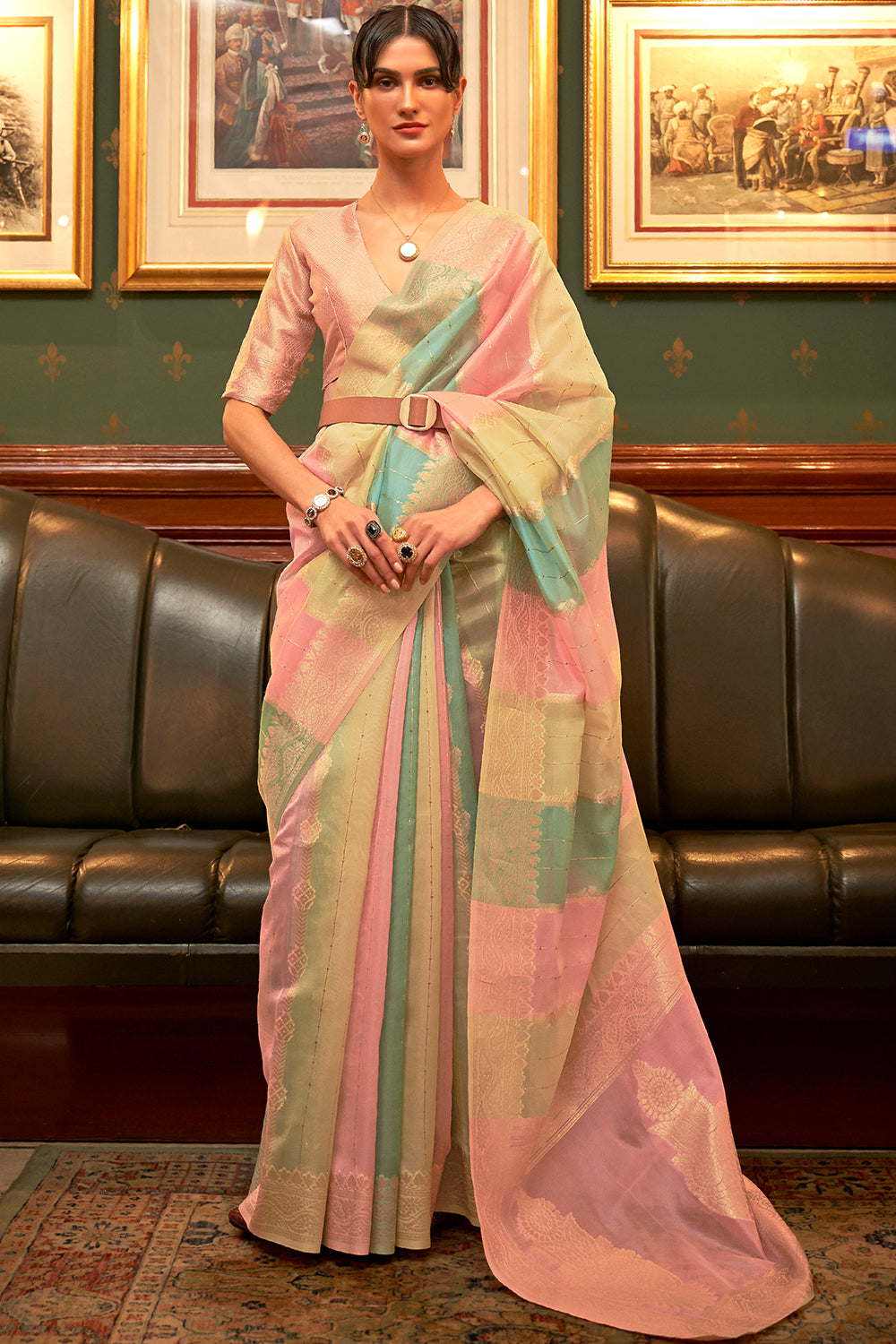 pastel multicolour organza saree 3